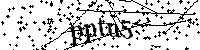 Escriba las letras y los números siguientes