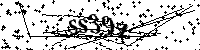 Escriba las letras y los números siguientes