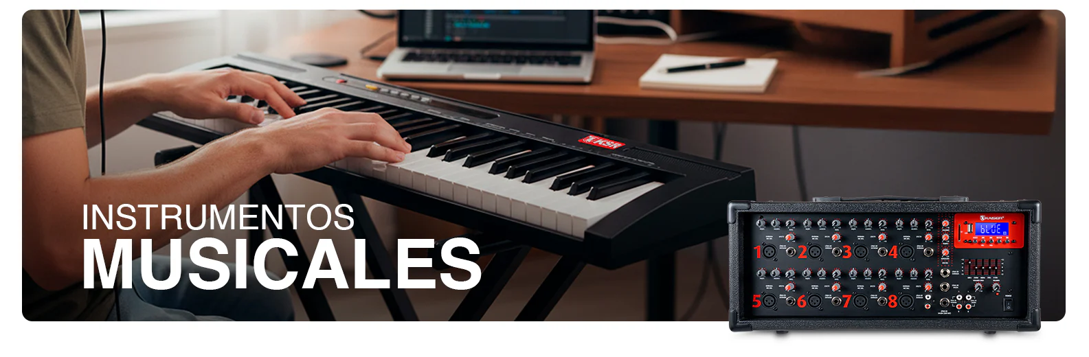 Instrumentos Musicales