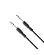 Extensión plug monoaural 6.3 mm de 10 M