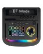 Bafle profesional 2x8” 100 W RMS Bluetooth® recargable con micrófono