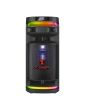 Bafle profesional recargable 10”  30,000 W PMPO Bluetooth ® con micrófono
