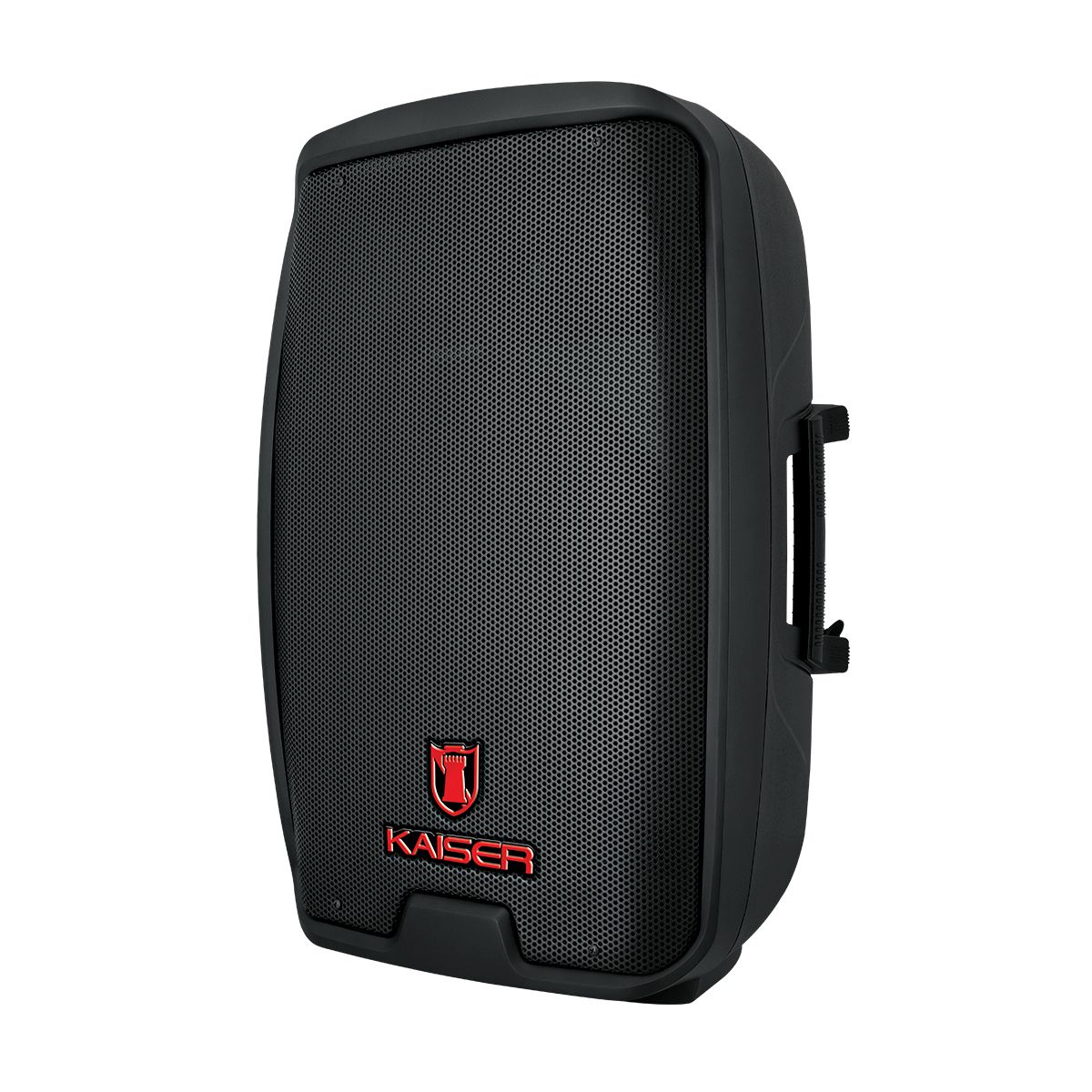 Bafle Profesional de 15" con ecualizador gráfico de 200 W RMS