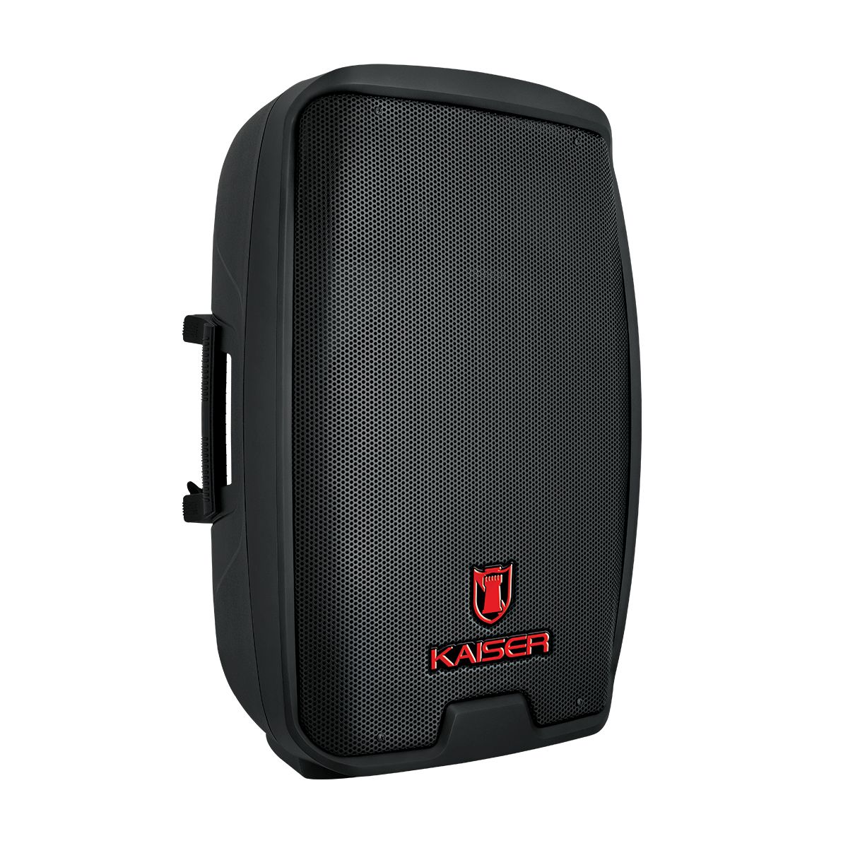 Bafle Profesional de 15" con ecualizador gráfico de 200 W RMS