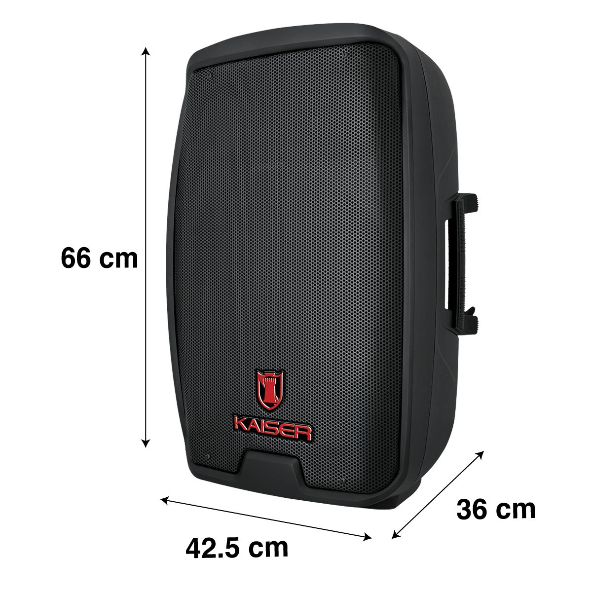 Bafle Profesional de 15" con ecualizador gráfico de 200 W RMS