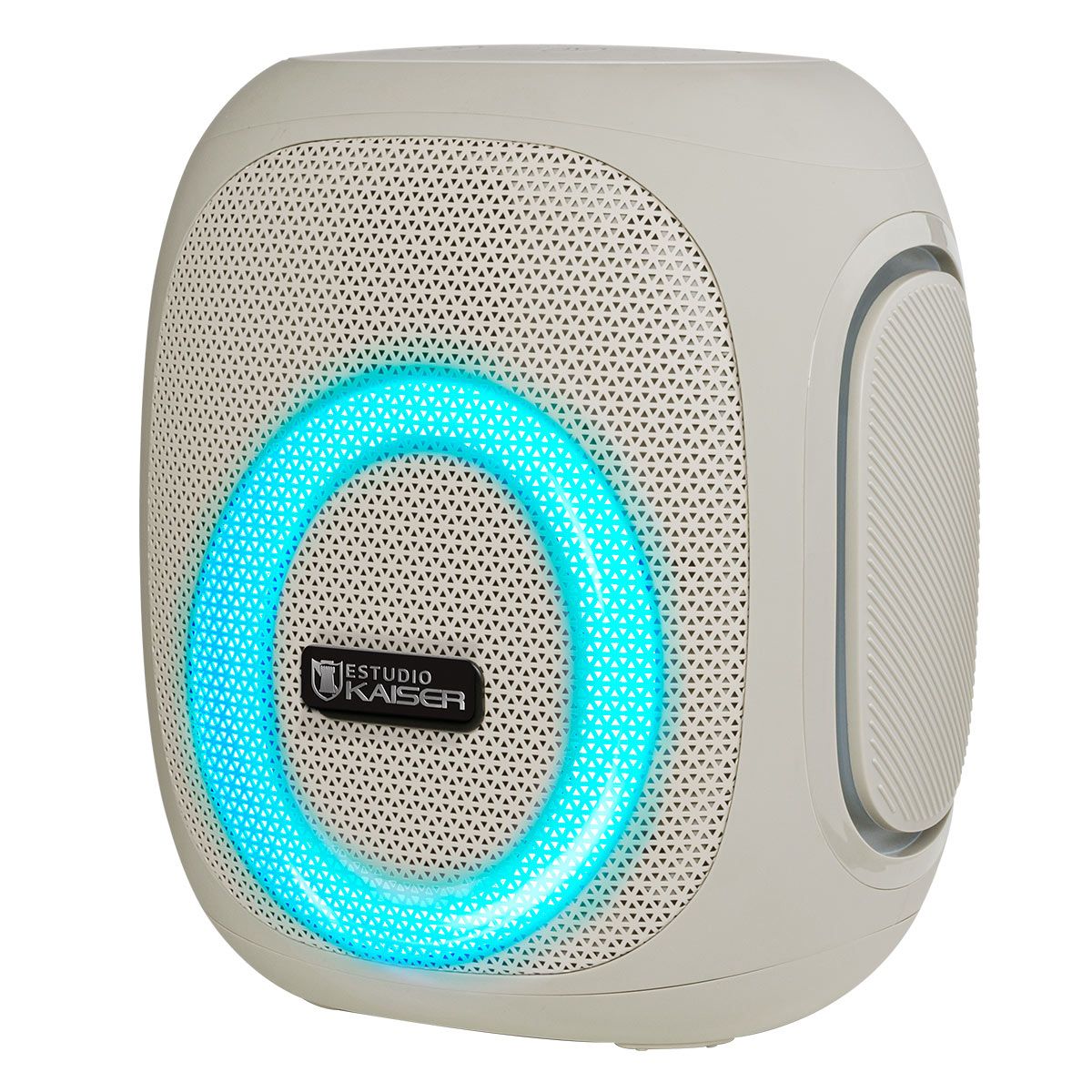 Bocina portátil 30 W RMS Bluetooth® recargable gris