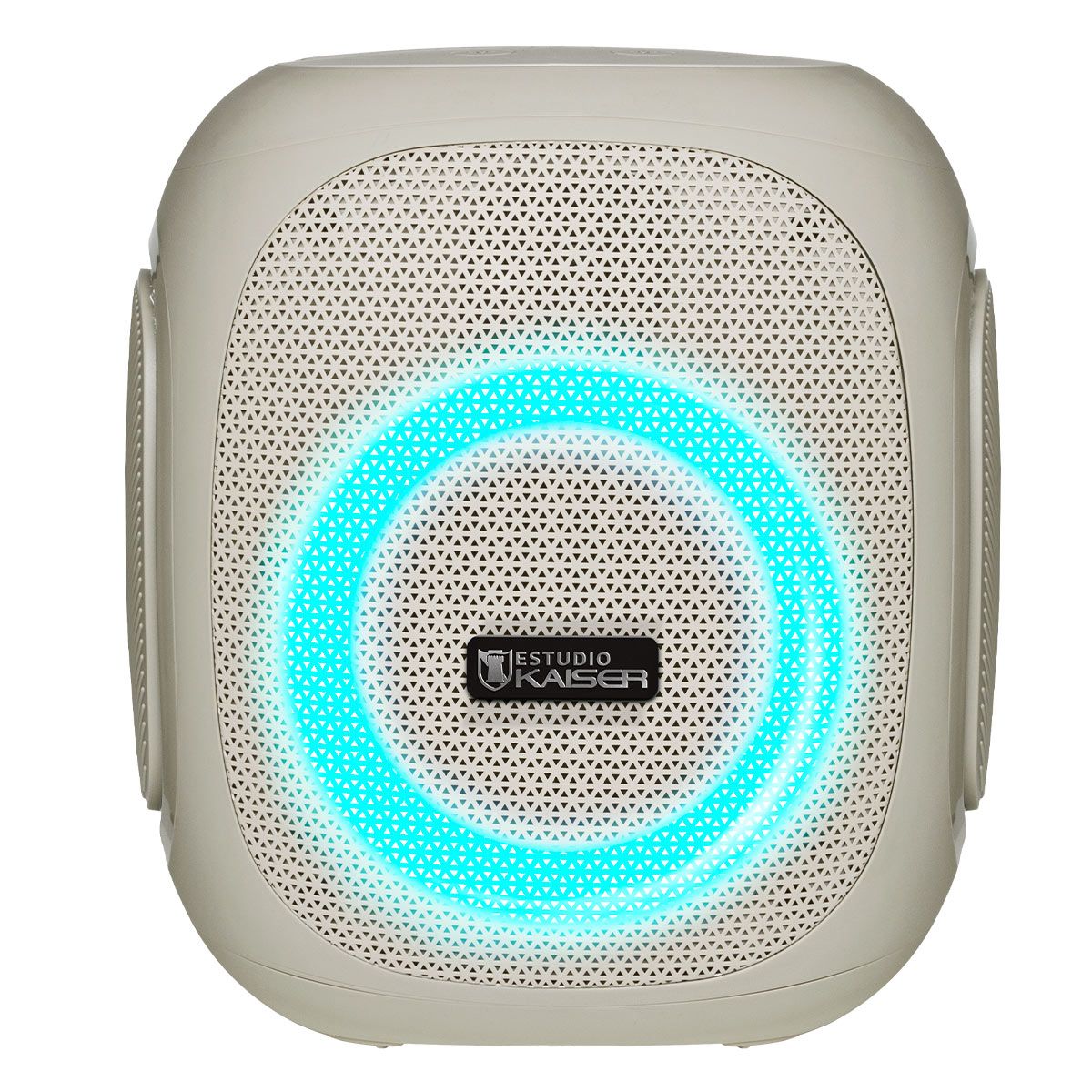 Bocina portátil 30 W RMS Bluetooth® recargable gris