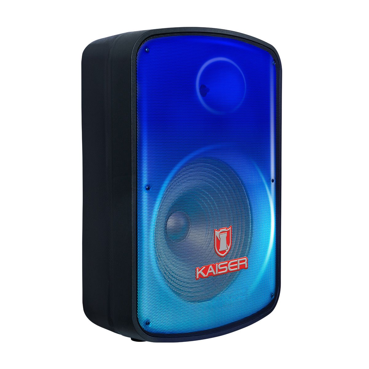 Bafle de 8” 6,500 W PMPO, micrófono alámbrico y control