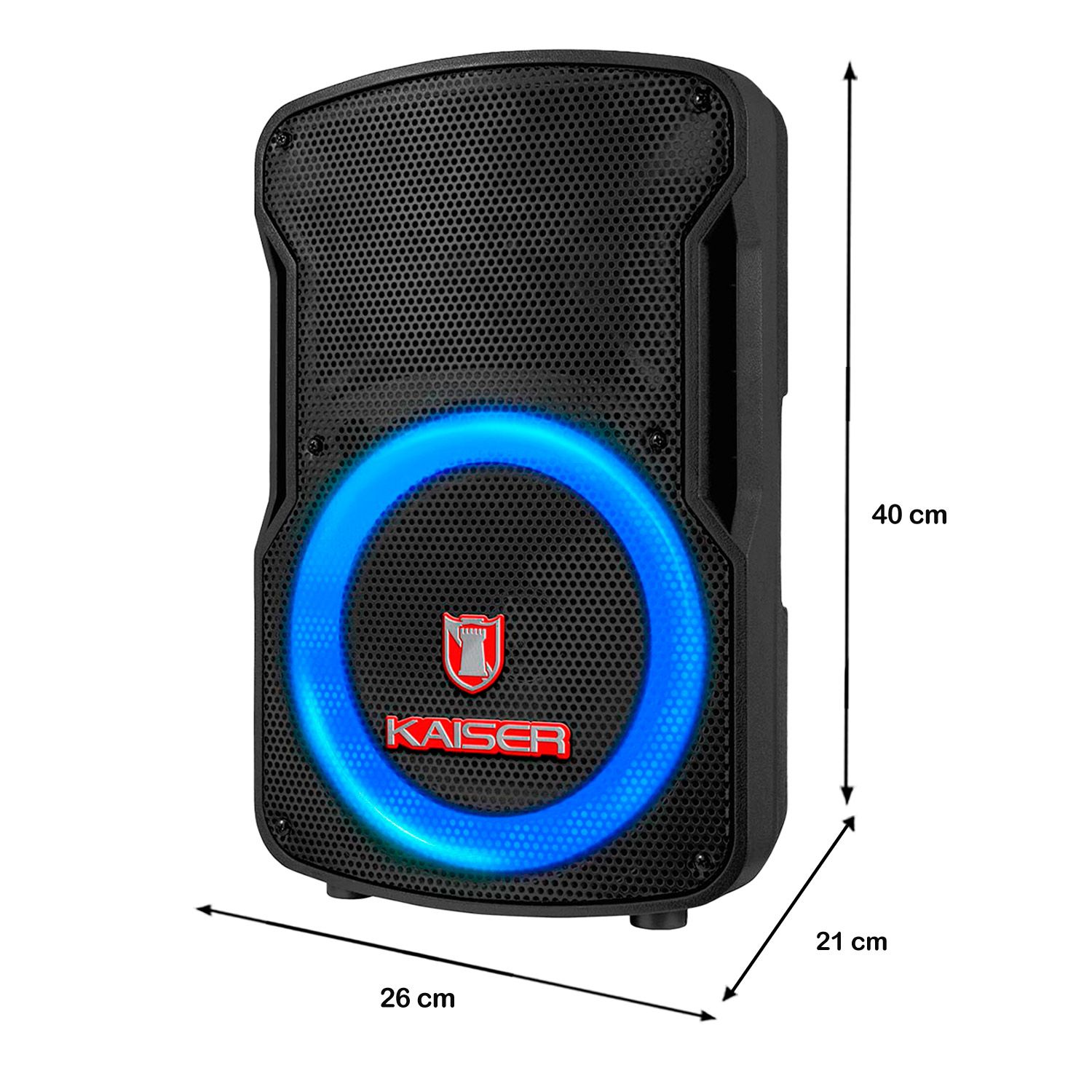 Bafle recargable 8" 25 W RMS Bluetooth® con micrófono alámbrico