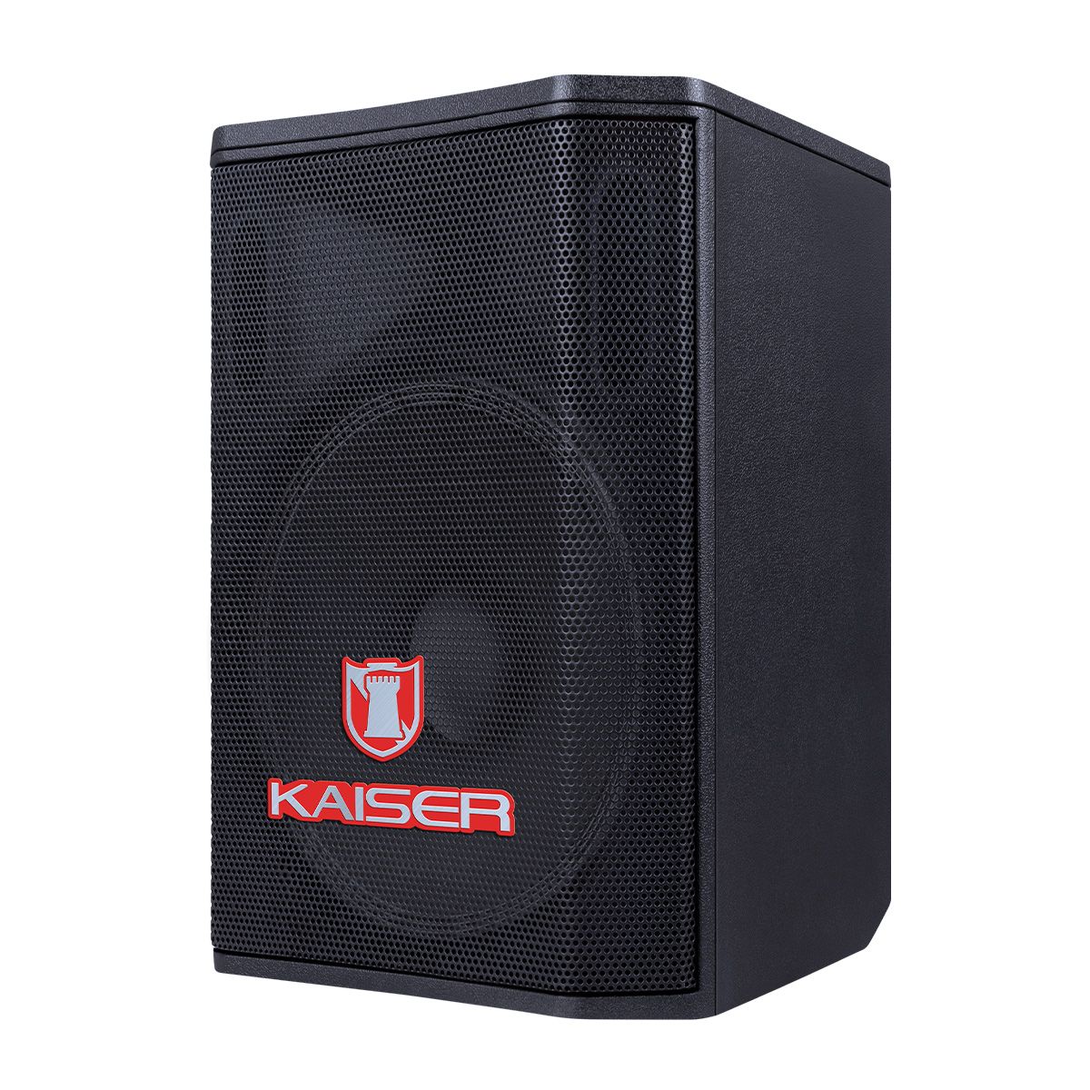 Bafle profesional 8" 40 W RMS Bluetooth® con micrófono y control remoto