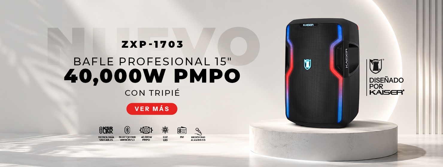 Bafle profesional ZXP-1703
