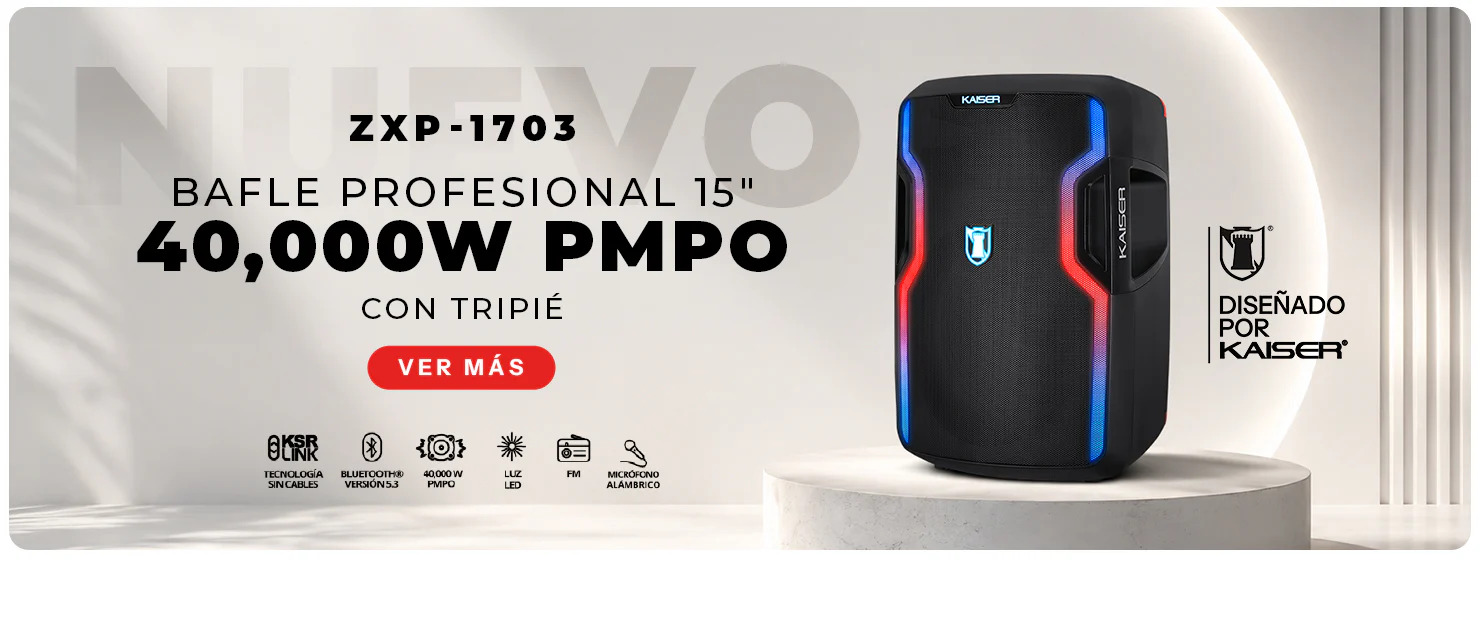 Bafle profesional ZXP-1703